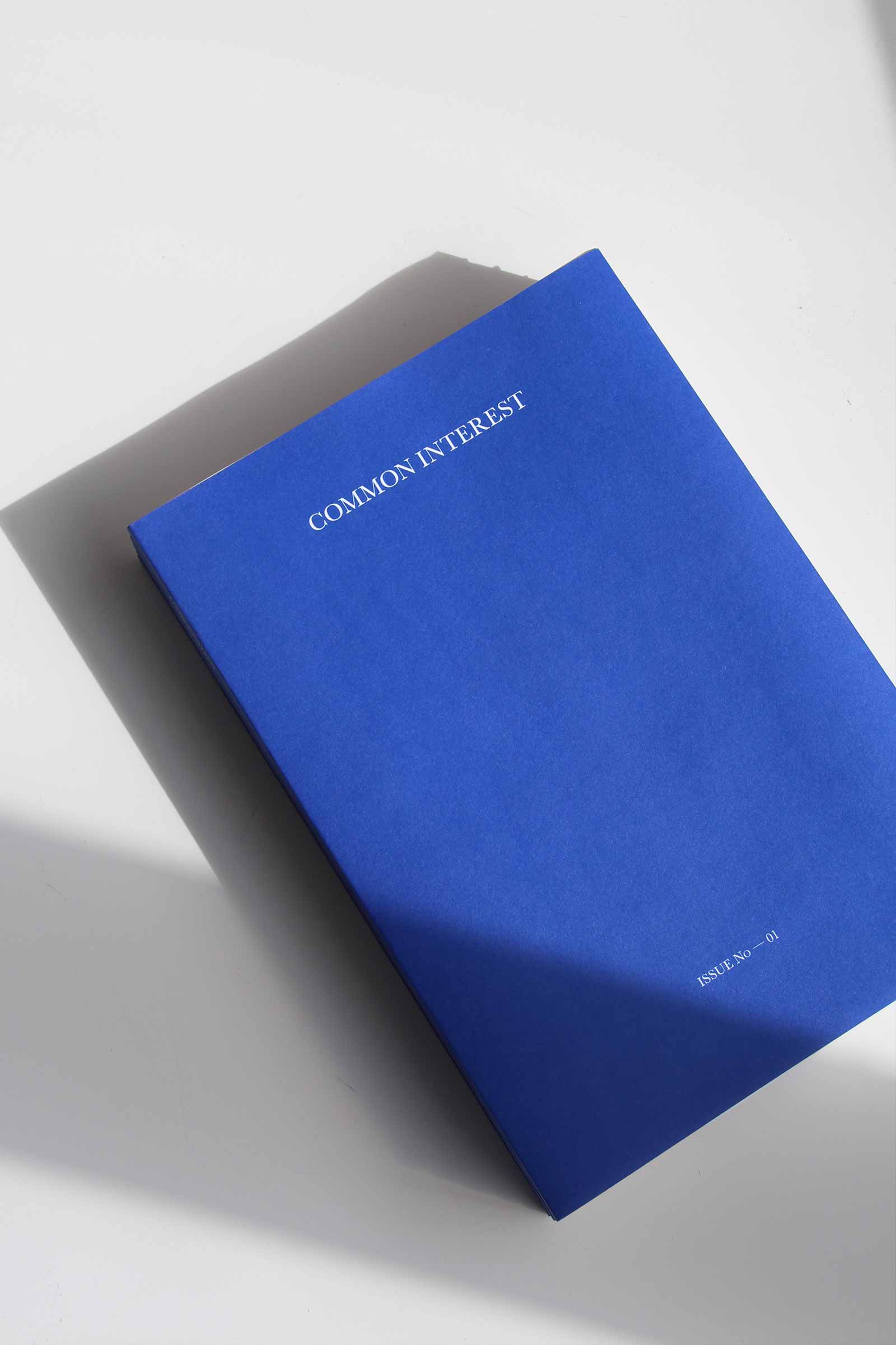 Common Interest Reader - Image 3