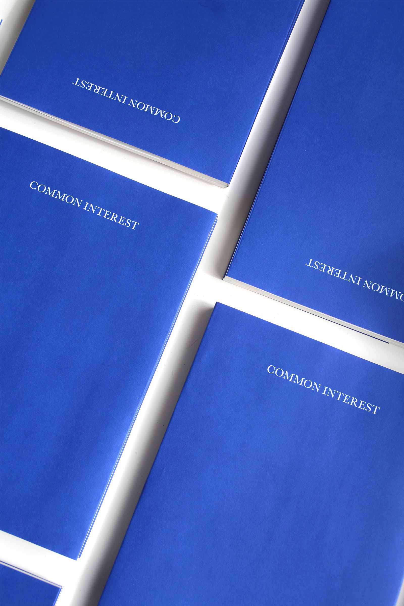 Common Interest Reader - Image 4